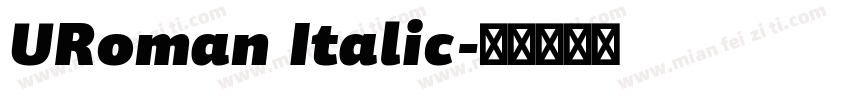 URoman Italic字体转换